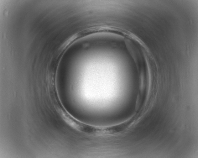 X0000082750793200701261506