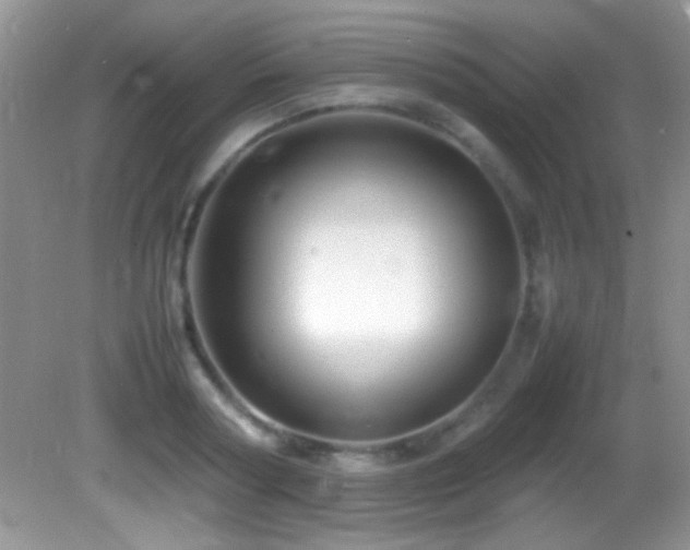 X0000082750794200701261506