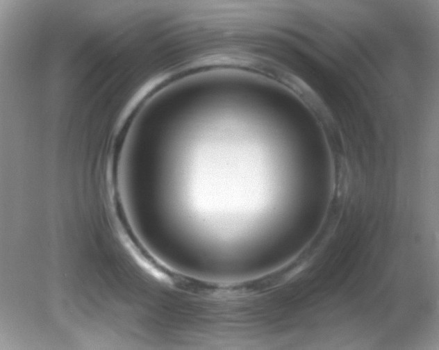 X0000082750796200701261506