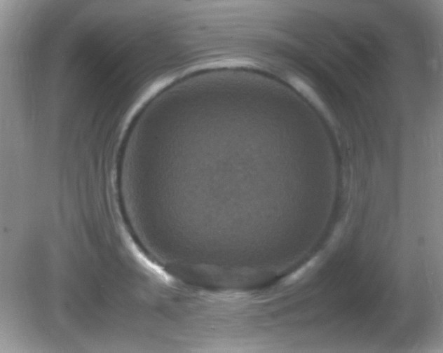X0000082750797200701261506