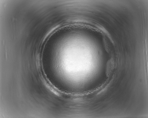 X0000082750798200701261506