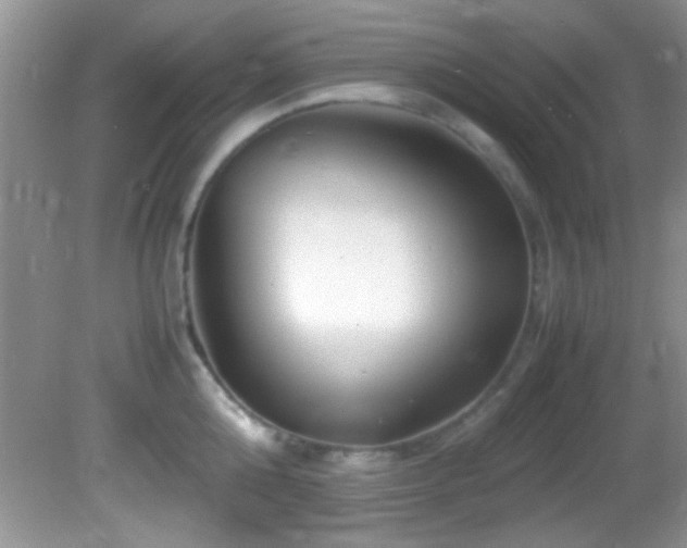 X0000082750808200701261505