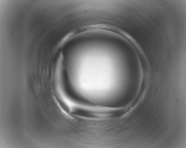 X0000082750809200701261505