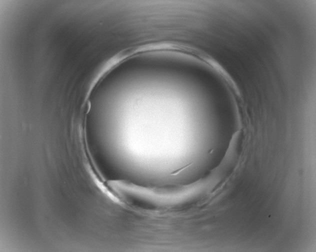 X0000082750813200701261505