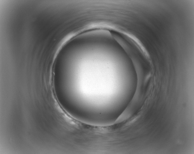 X0000082750815200701261505