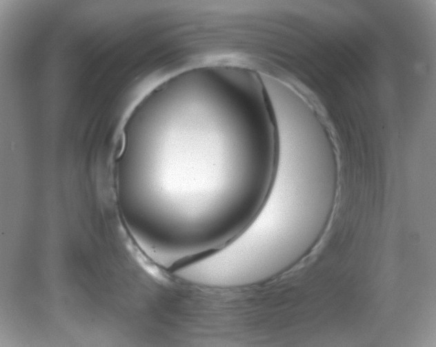 X0000082750816200701261505