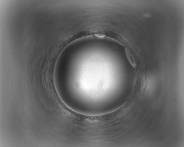 X0000082750817200701261505