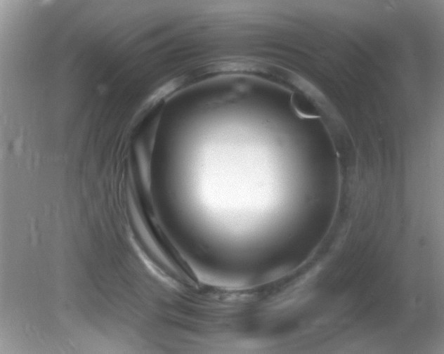 X0000082750841200701261505