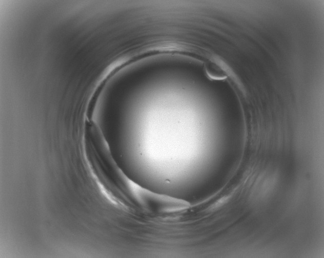 X0000082750845200701261505