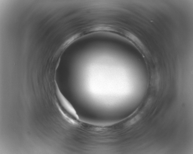 X0000082750849200701261505