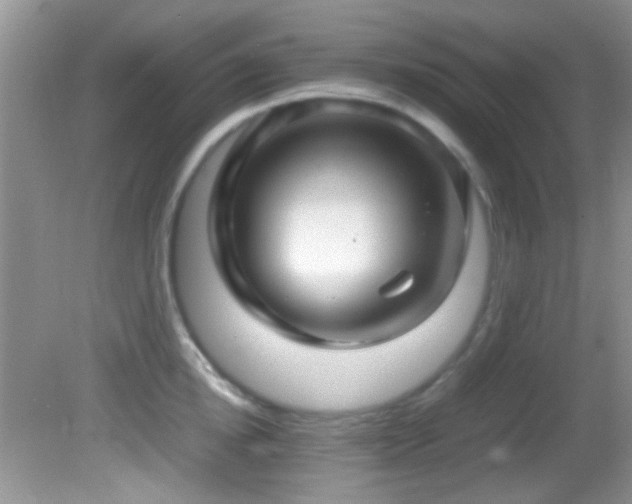 X0000082750854200701261505