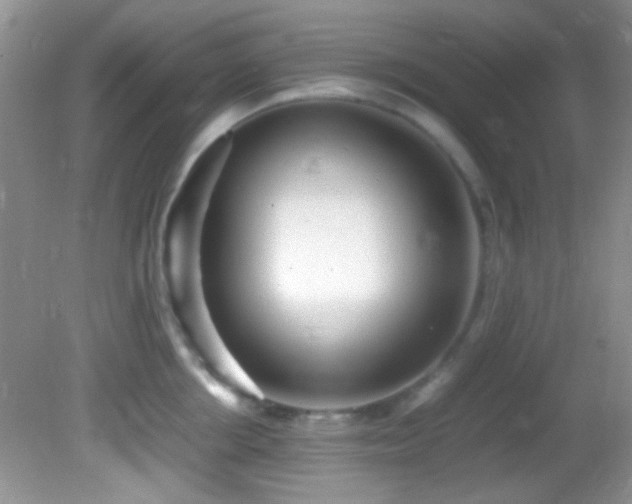 X0000082750858200701261505