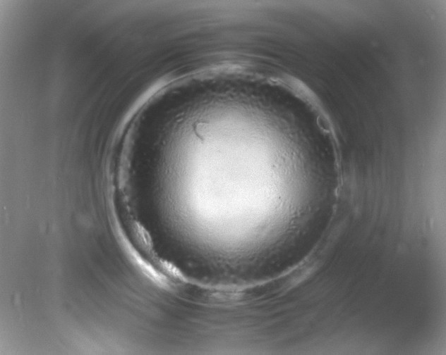 X0000082750859200701261505