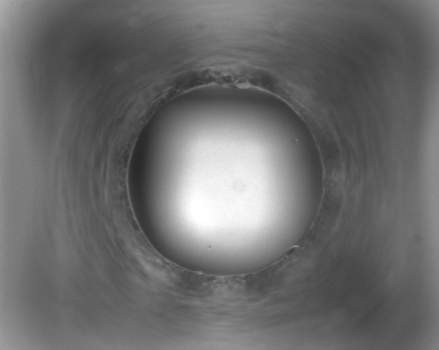 X0000082750865200701261505