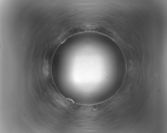 X0000082750866200701261505