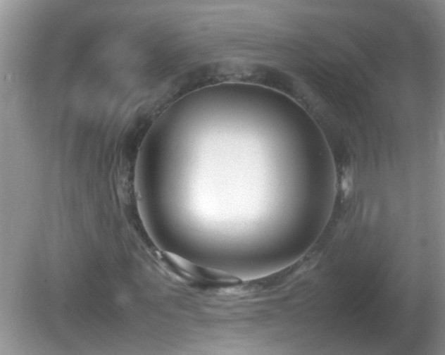 X0000082750867200701261505