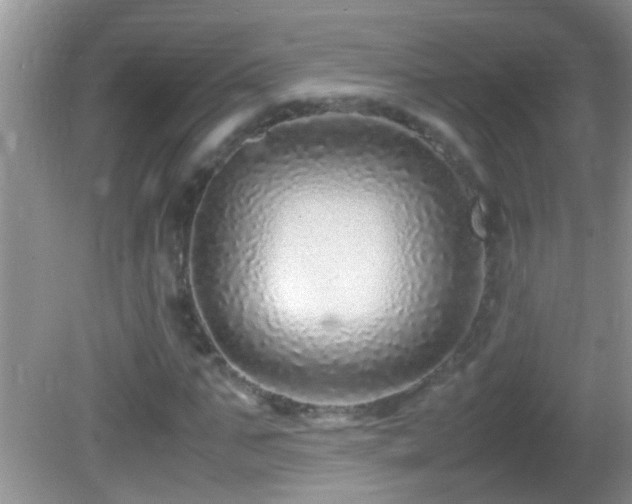 X0000082750871200701261504