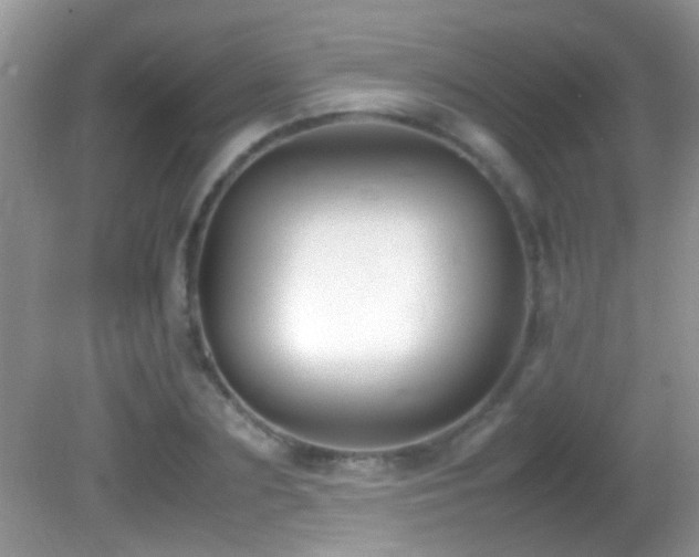 X0000082750883200701261504