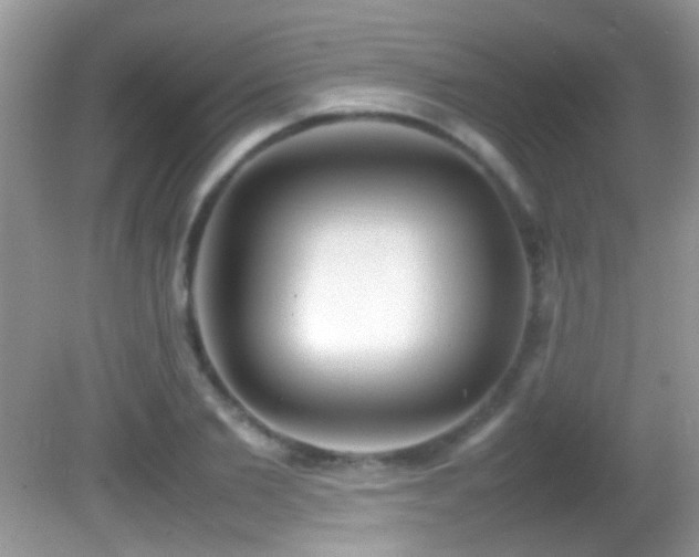 X0000082750885200701261504
