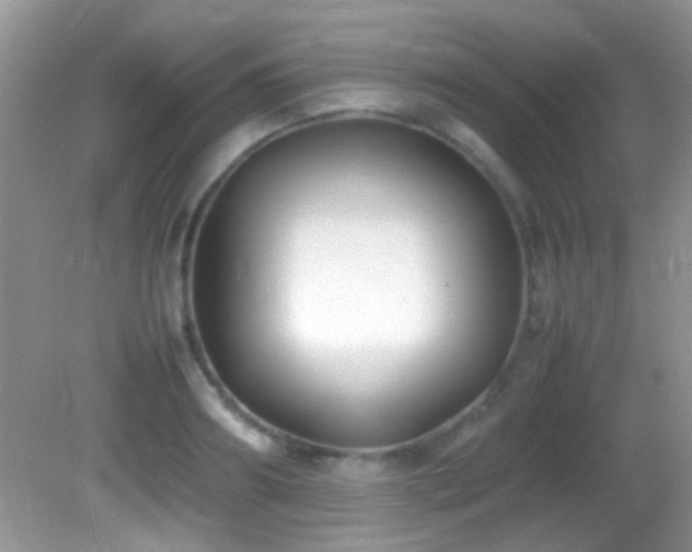 X0000082750890200701261504