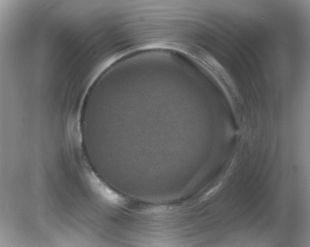 X0000082750892200701261504
