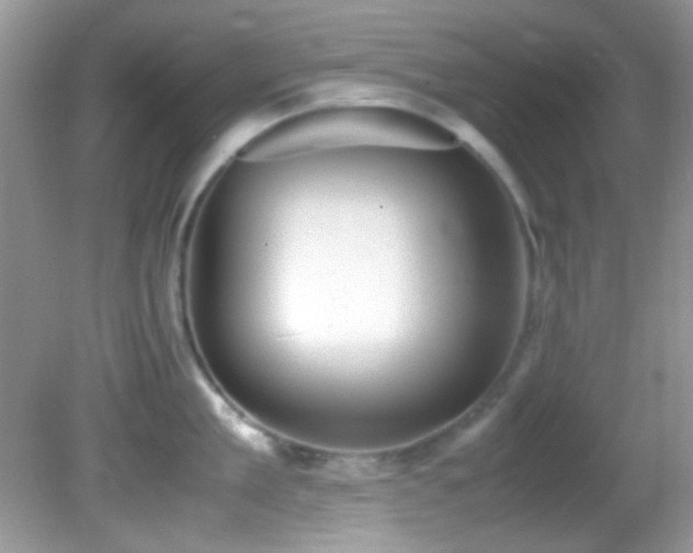 X0000082750909200701261504