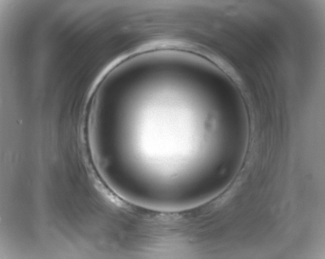 X0000082750912200701261504
