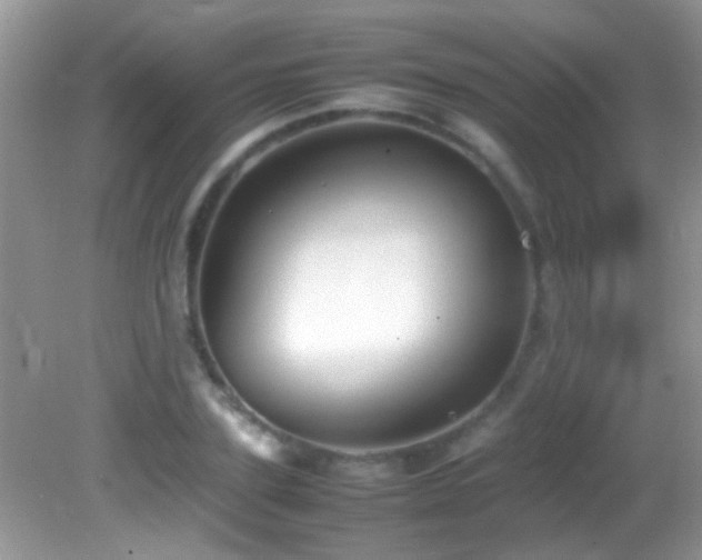 X0000082750931200701261503