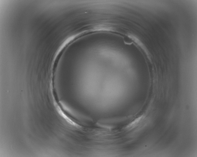 X0000082750941200701261503