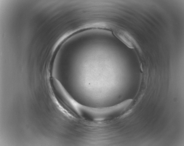 X0000082750944200701261503