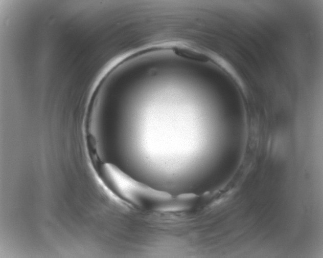 X0000082750959200701261504