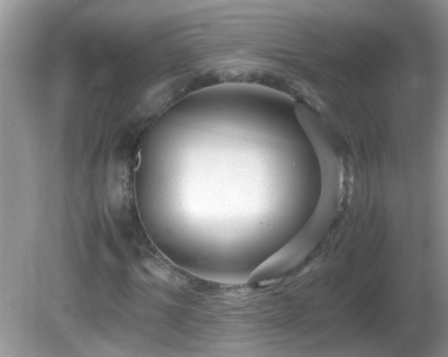 X0000082750964200701261503