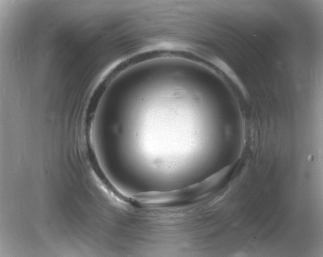 X0000082750972200701261503
