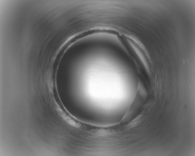 X0000082750984200701261503