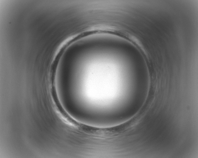 X0000082750987200701261502