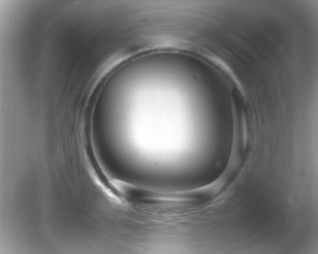 X0000082750991200701261502