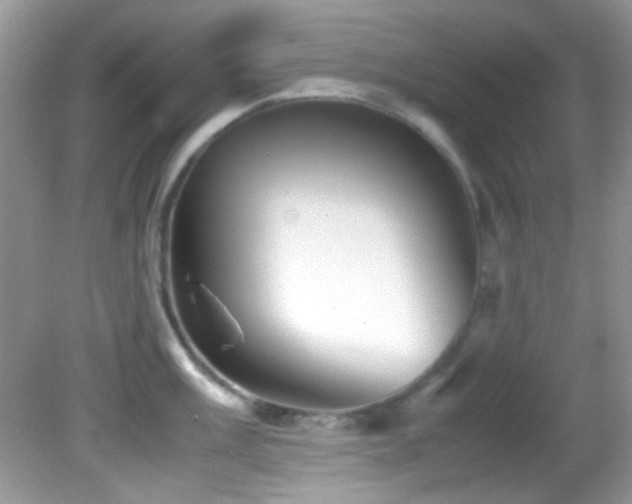 X0000082751003200701261502
