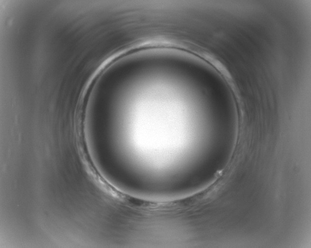 X0000082751008200701261502