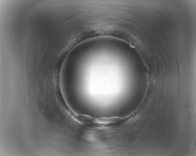 X0000082751012200701261501