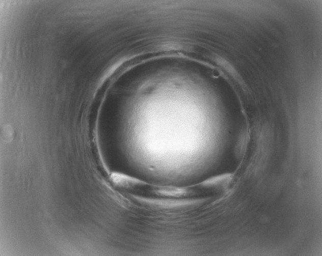 X0000082751023200701261502