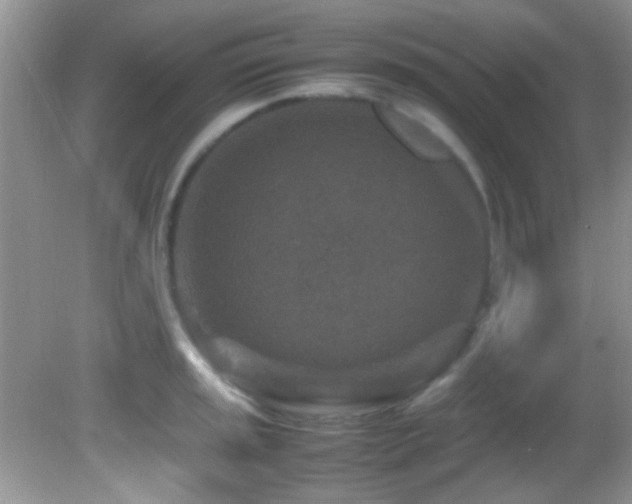 X0000082751045200701261502