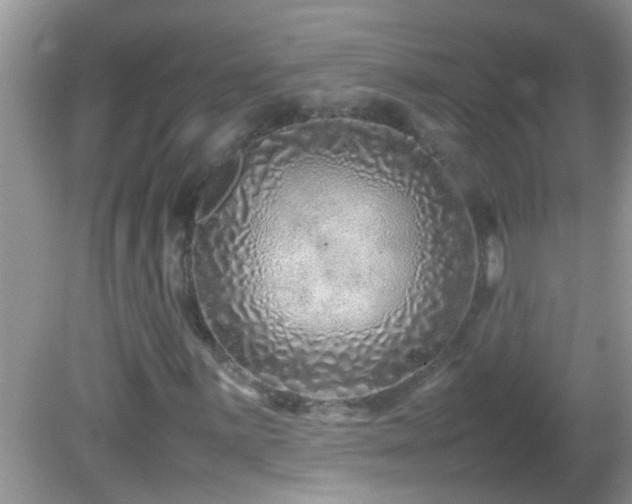 X0000082751059200701261501