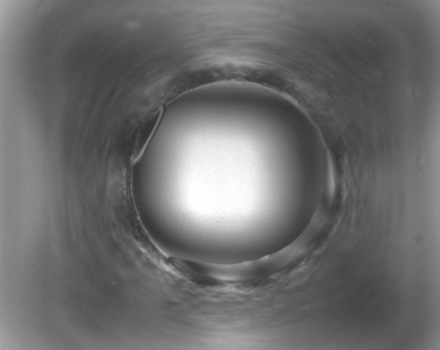 X0000082751061200701261501