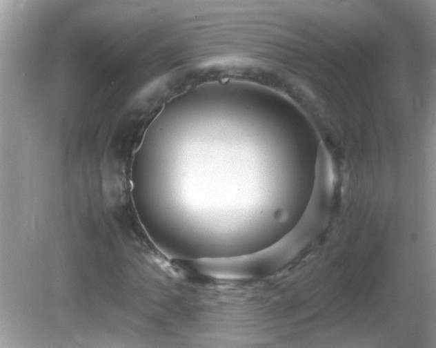 X0000082751062200701261501
