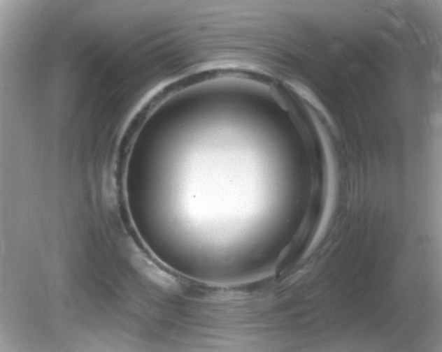 X0000082751068200701261501