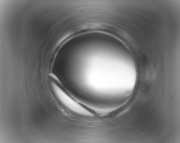 X0000082751073200701261501