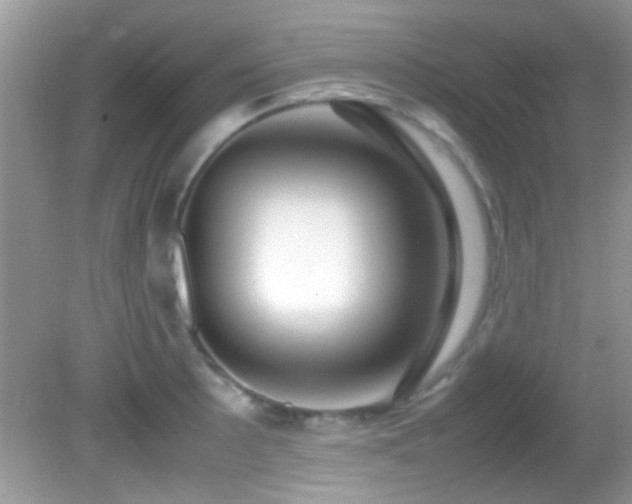 X0000082751089200701261501