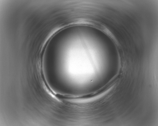 X0000082751092200701261501