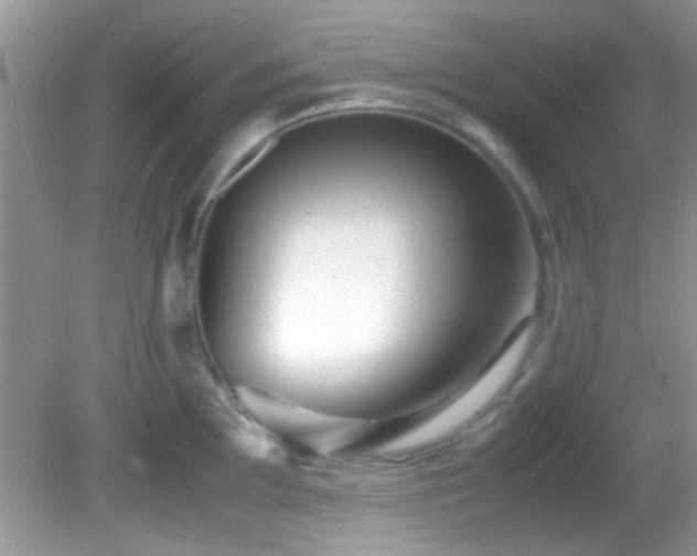 X0000082751097200701261501