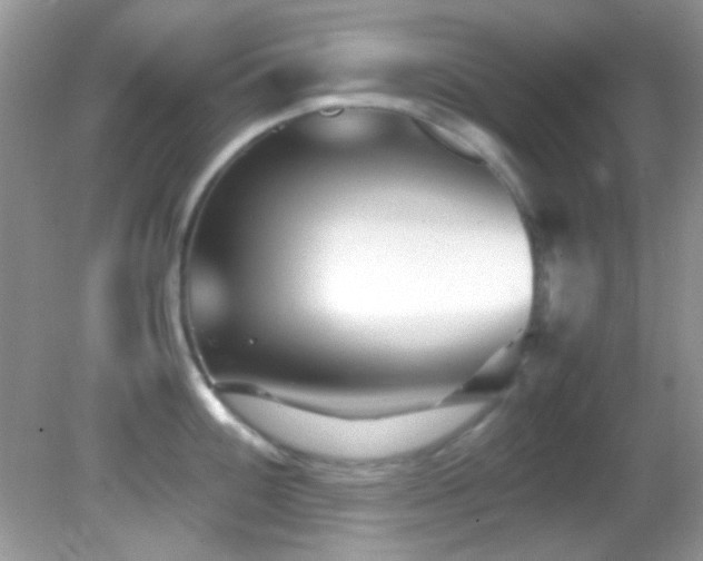 X0000082751100200701261501